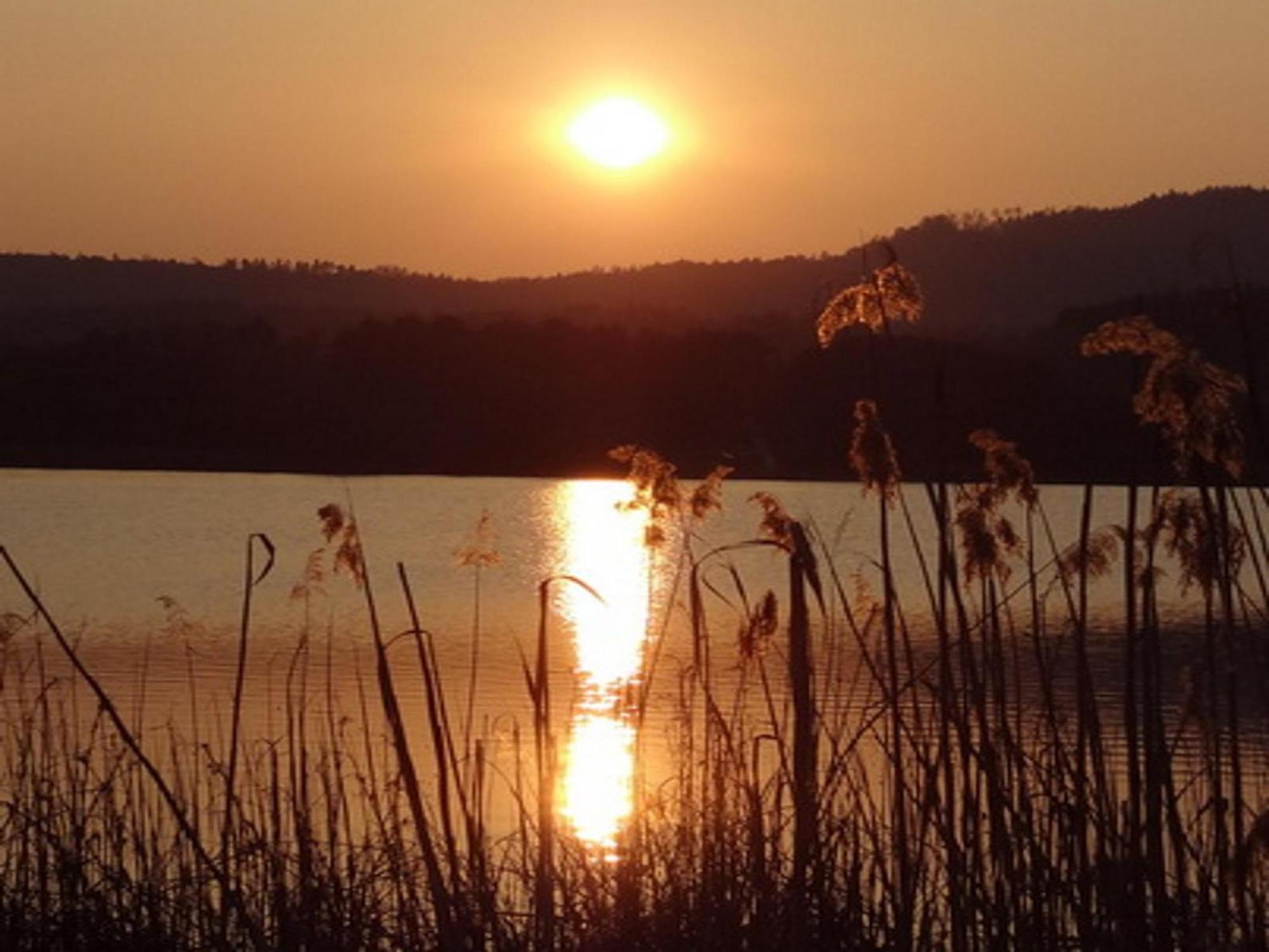 Ilsenhof Am Turnersee Obersammelsdorf Esterno foto
