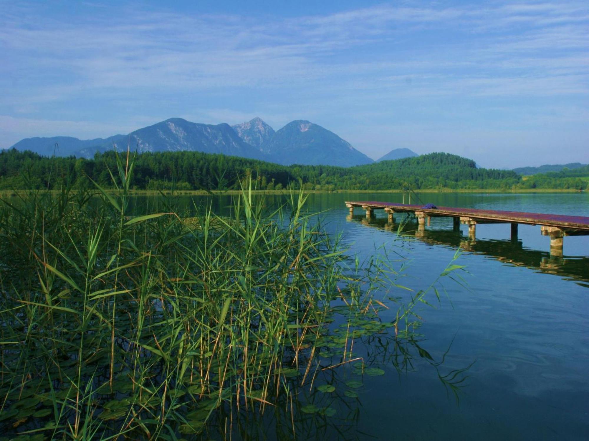 Ilsenhof Am Turnersee Obersammelsdorf Esterno foto