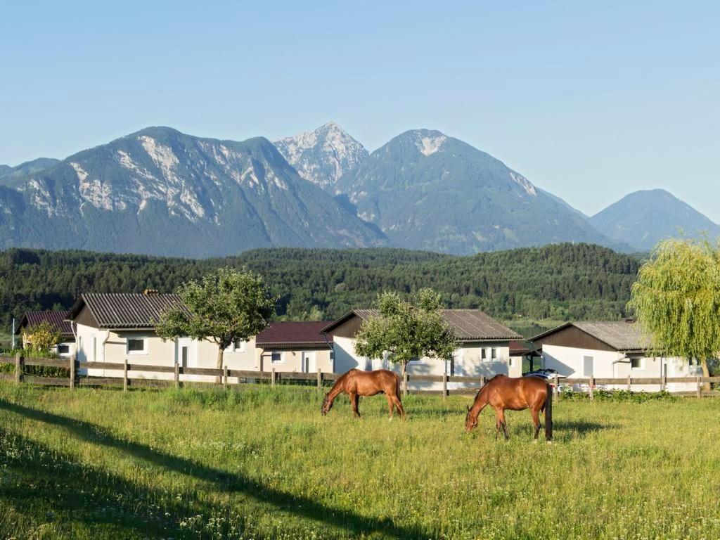 Ilsenhof Am Turnersee Obersammelsdorf Esterno foto